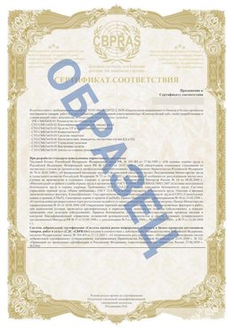 Образец Приложение к СТО 01.064.00220722.2-2020 Серов Сертификат СТО 01.064.00220722.2-2020 